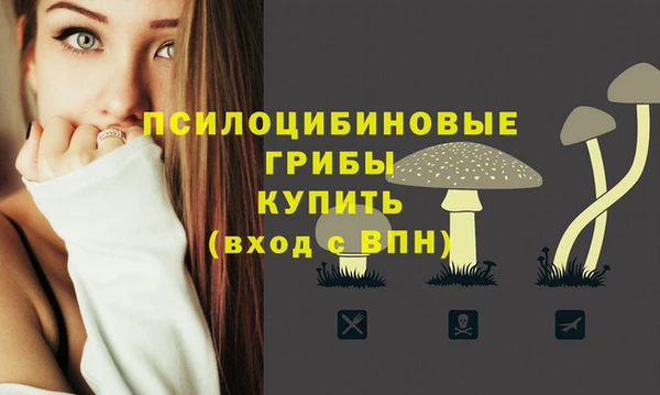 гашик Алексеевка