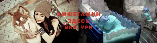гашик Алексеевка