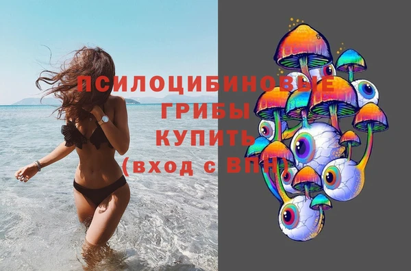гашик Алексеевка