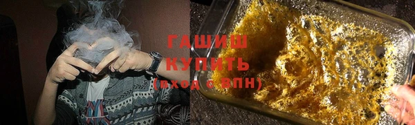 гашик Алексеевка
