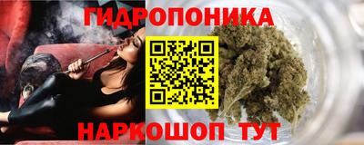 стафф Краснодар