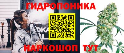 стафф Краснодар