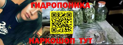 стафф Краснознаменск