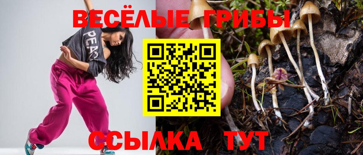 Изобильный  Псилоцибиновые грибы MAGIC MUSHROOMS  Вход с VPN  Псилоцибиновые грибы мицелий 